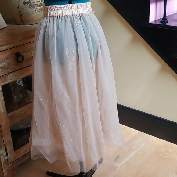 Forever 21 Sheer Glittery Maxi Skirt - SZ S - Picture 5 of 6